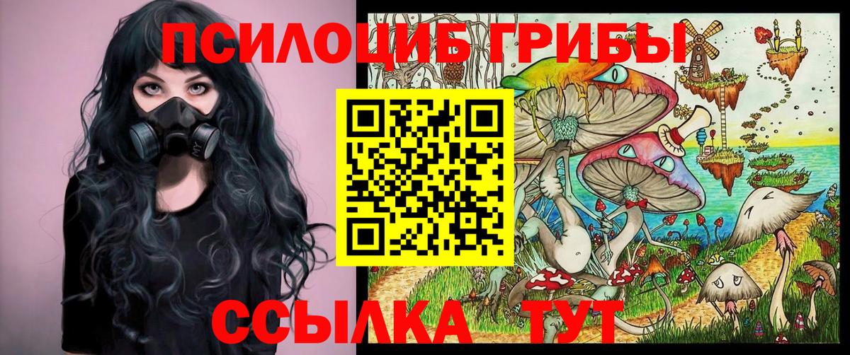 Краснодар  Псилоцибиновые грибы мицелий  Вход с VPN 